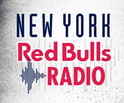Image result for bull of new york