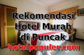 Villa sawah by salak hospitality: 10 Hotel Murah Di Puncak Pass Bogor View Bagus Ada Kolam Renang Untuk 2 Orang Harga Dibawah 200 Ribu