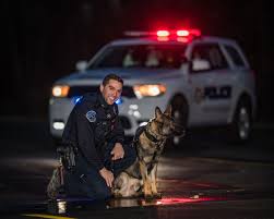 About — Whitney Allen