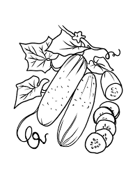 You might also be interested in coloring pages from cucumbers category. Cucumber Coloring Pages Coloring Home