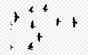 Search more hd transparent bird image on kindpng. Flock Of Birds Clipart Cartoon Bird Flock Clipart Hd Png Download 640x480 132000 Pngfind
