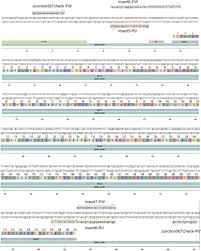 This virus can either reproduce. A Protocol To Engineer Bacteriophages For Live Cell Imaging Of Bacterial Prophage Induction Inside Mammalian Cells Star Protocols
