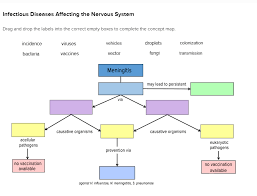 Solved Infectious Diseases Affecting The Nervous System D