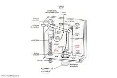 Toilet Flush Systems | Importance of a Toilet Flush Valve