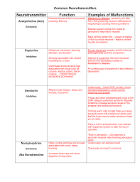 neurotransmitters chart