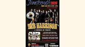 Juneteenth Festival in Hopkins