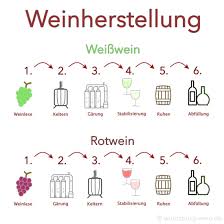 Herstellung von wein zu hause meist der fall ist. Weinherstellung Erklart Wie Wird Wein Hergestellt