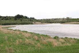 Opening & closing timings, parking options, restaurants nearby or what to see on your visit to lake anita state park? Lake Anita State Park Iowa Camping Reservations Reserveamerica