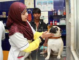 Dog boarding, dog walking, house sitting The Animal Care Clinic Multi Speciality Clinic In Banjara Hills Hyderabad Book Appointment View Fees Feedbacks Practo