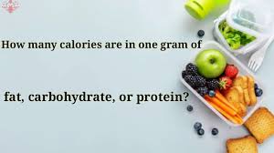 How much exercise is needed to burn fat? How Many Calories Are In One Gram Of Fat Carbohydrates Or Protein The Nutrition Diary Youtube