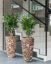 Zwischen der vielzahl an getesteten produktarten hat der heutige testsieger die hervorragendste abschlussnote erhalten. Blumentopfe Gross Seychelles Flowerfeldt Blumentopf Innen Gross