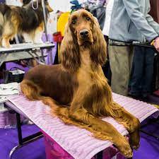 Pin On Beloved Souls