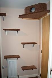 Make your cat climbing system easy for your cat. Cat Wall Shelves Diy Novocom Top