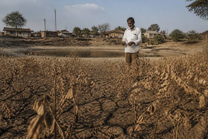 Maharashtra Drought Relief Gains Urgency as Minister Backs Move