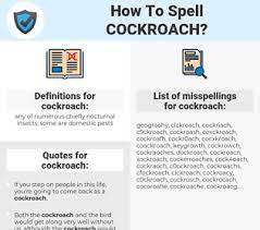 An obvious place to start is the dictionary. How To Spell Cockroach And How To Misspell It Too Spellcheck Net