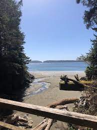 Tonquin Beach Tofino What Laura Did Next Tofino British Columbia Vancouver Island