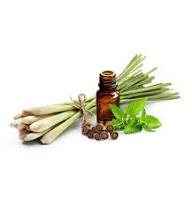 A sharp citrus-grass oil used in outdoor blends and crisp aromatic compositions.
