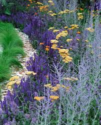 Pin On Gardening