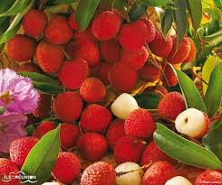 Pin By Metisse Reunionnaise On My Islands Reunion Fruit Strawberry Food