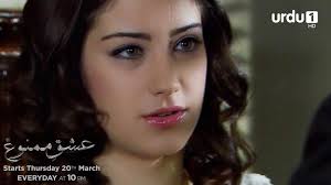 Pyar ka iss tarha iqrar, kia Yildiz phir Junaid per bharosa karlayge? Watch  Shajar e Mamnu