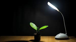 Fluorescent grow lights have a lower light output and different kelvin rating (a measure of heat output) than led lights, which may produce a blue or purple tint in your growing area. Find The Best Grow Lights For Indoor Plants Ecowatch