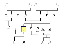 By just one simple glance, you will be able to grasp the interrelationships between elements, quickly, easily and efficiently. Genogram Maker For Mac Yellownews