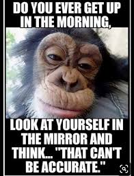 Pin By Lindajane Ovenstone On For Mollie To See Morning Quotes Funny Funny Good Morning Quotes Funny Quotes