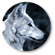 White Wolf Portrait Sandstone Car Coasters Set Of 2 Optional Matching 2 5 Acrylic Key Chain S White Wolf Car Coaster Set