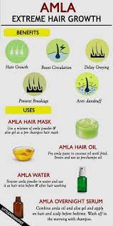 Amla hair growth powder is suitable for your scalp health because it can stop hair loss and regrow hair naturally. Amla For Extreme Hair Growth Benefits And Ways To Use Little Indian Spot Amla Benefits Extreme G Extreme Hair Growth Herbs For Hair Growth Extreme Hair