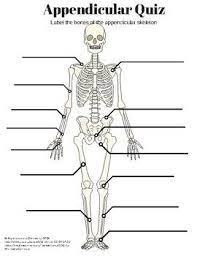 Pin On Anatomy
