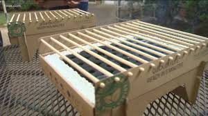 Does It Work: We put the CasusGrill biodegradable grill to the test