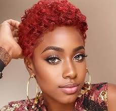 Nicelatus Short Afro Curly Hairstyle Synthetic Curly Wigs for Black Women Short Afro Wigs for Women Curly Haircuts for Women (nicelatus 1116D)