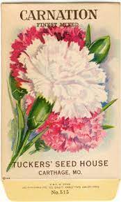 Carnation Finest Mixed Vintage Flower Seed Packet Tuckers Flower Seeds Packets Vintage Flowers Flower Seeds
