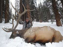 You���re in the right place. Big Rock Sports Wholesale Shooting Fishing And Taxidermy Distributor