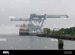 Msc sandra immagini e fotografie stock ad alta risoluzione