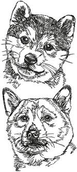 Shiba Inu Set Animal Drawings Dog Line Drawing Advanced Embroidery