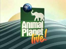 Official homepage for animal planet. Animal Planet Live Show Logo Animations Youtube