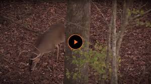 Profitez de notre énorme collection de porno gratuit. Shop All Deer Call And More Shop Today For All Your Hunting Gear