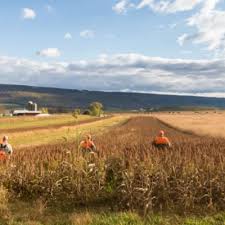 Spring Lane Hunt Club