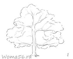 Sebastian von artistravel zeigt in diesem clip wie man einen baum schnell skizzieren kann. Wie Man Baume In Die Ferne Zeichnet Wie Zeichnet Man Einen Baum Mit Einem Bleistift