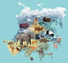 The World Of Animals Marmota Maps Earth Art Animal Posters Illustration