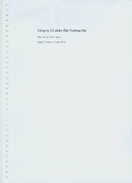 Công ty Cổ phần Ôtô Trường Hải - Báo cáo tài chính riêng