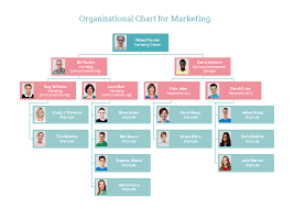 marketing org chart