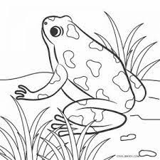 Download and print these printable of frogs coloring pages for free. Dibujos De Ranas Para Colorear Paginas Para Imprimir Gratis Ranas Dibujos Animales Para Imprimir Libros Para Pintar