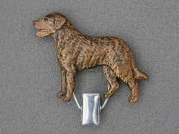 Image result for chesapeake bay retrívr