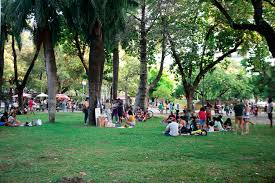 Image result for parque