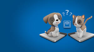 Farmina puppy food near me. Farmina Pet Foods Hrana Za Vasega Psa Hrana Za Vasega Macka