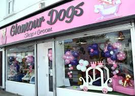 Puppy boutique las vegas is driven to. 5 Places To Pamper Your Pet In Ireland