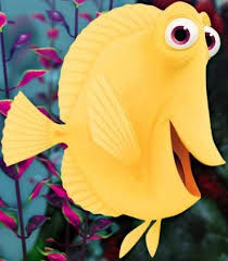 Gurgle = royal gramma, fairy basslet royal gramma really are purple and yellow like gurgle! Tank Gang Finding Nemo Characters Finding Nemo Nemo