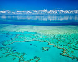 Great barrier reef, cairns, qld. Australia S First Underwater Hotel In The Great Barrier Reef Lets You Sleep Next To Fish Conde Nast Traveler